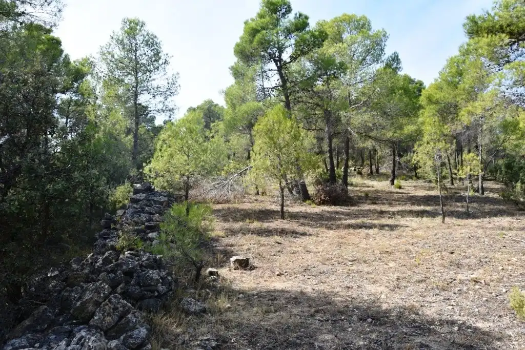 Terreni e lotti in vendita a Lledó, imagen 3