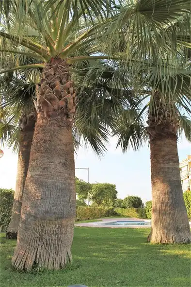 Außenansicht von Dachboden zur Miete in Cambrils mit Klimaanlage, Terrasse und Möbliert