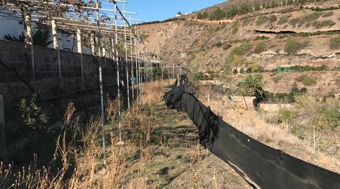 Foto 3 de Finca rústica en venda a Camino a Juan Ingles, 13, La Herradura - Balcón de Telde, Las Palmas