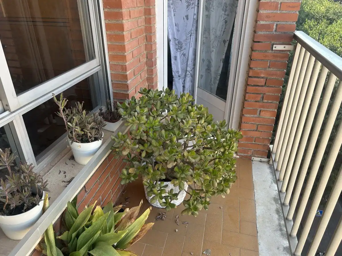 Balcony of Flat for sale in Castellón de la Plana / Castelló de la Plana  with Air Conditioner, Heating and Balcony