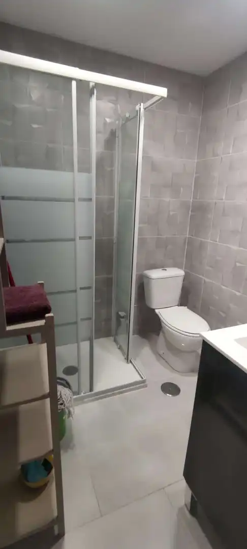 Bathroom of Study for rent in Torremolinos  with Furnished and Pets allowed