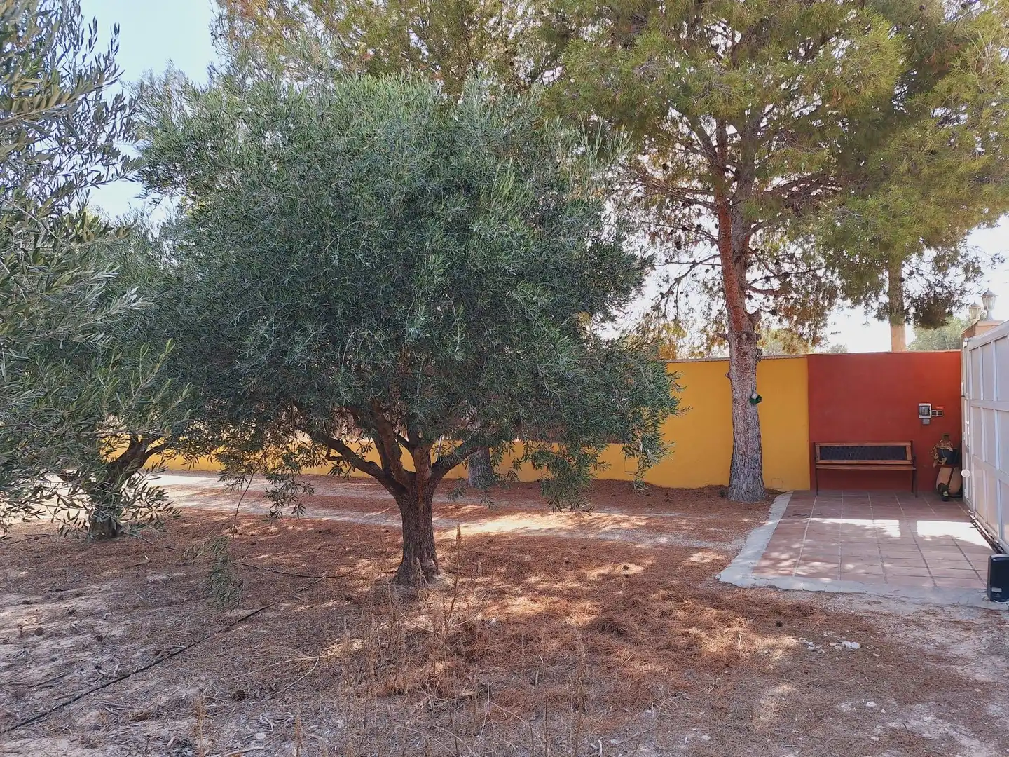 Jardí de Casa o xalet en venda en Alicante / Alacant amb Jardí privat, Terrassa i Traster