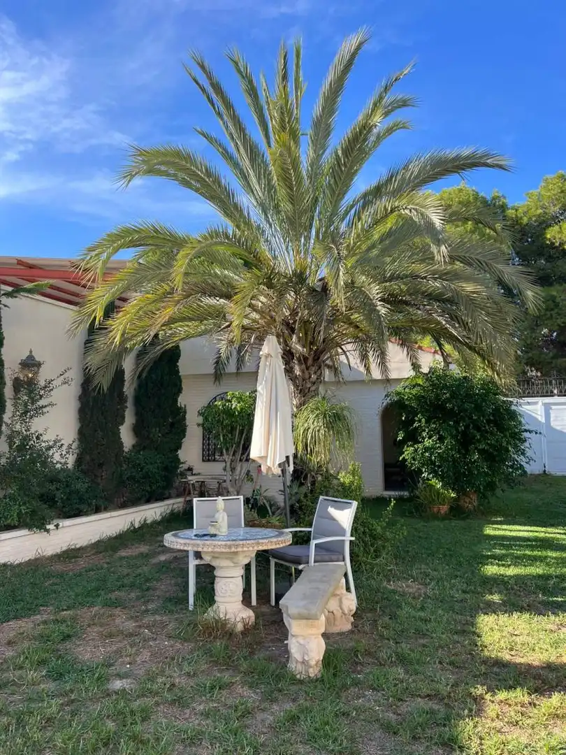 Bungalow amb piscina en venda a C. 23 Agosto, imagen 72