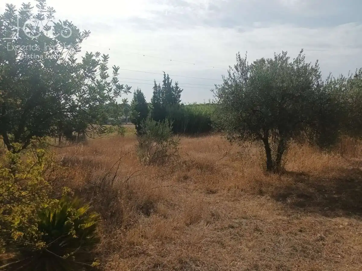 Casa rústica amb jardí en venda a Almonte ciudad, imagen 4