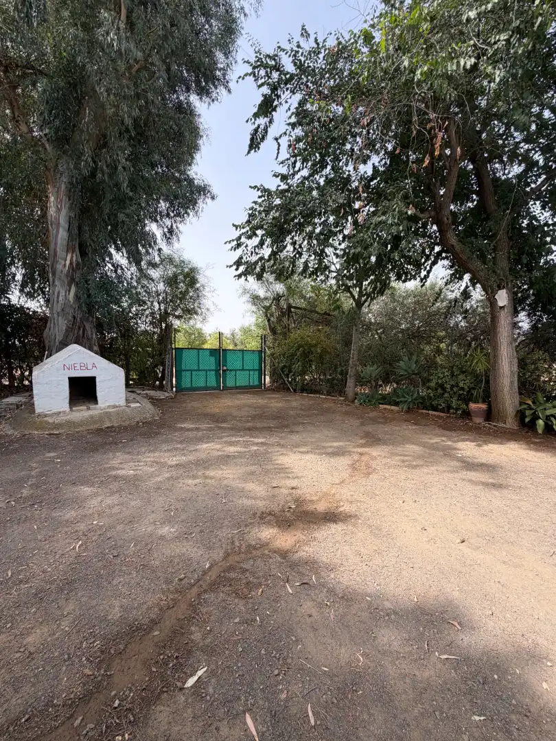 Casa rústica amb piscina en venda a Carmona, imagen 2