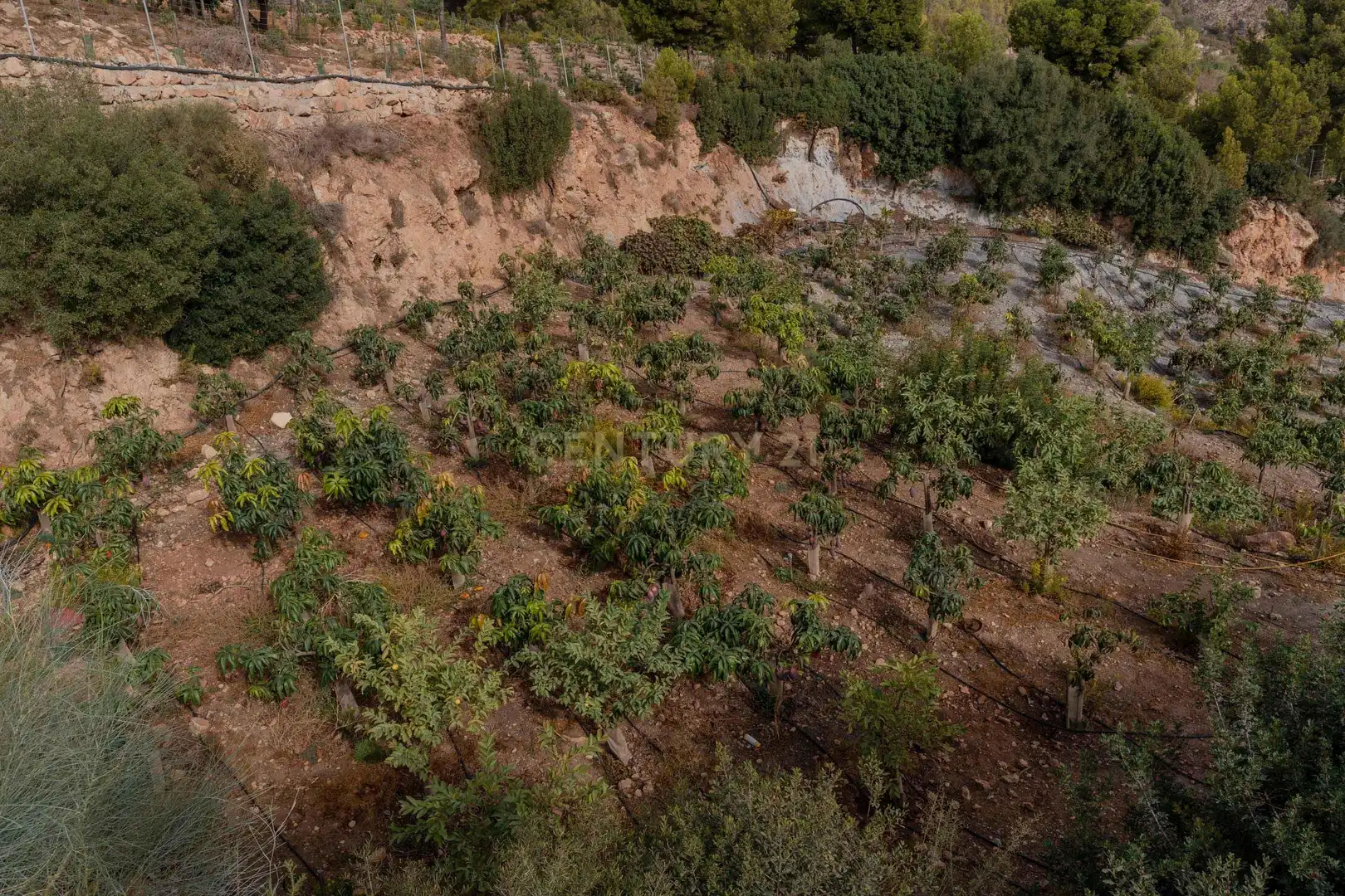 Terreni e lotti in vendita a PHPX+WF Gualchos, Spain, imagen 34