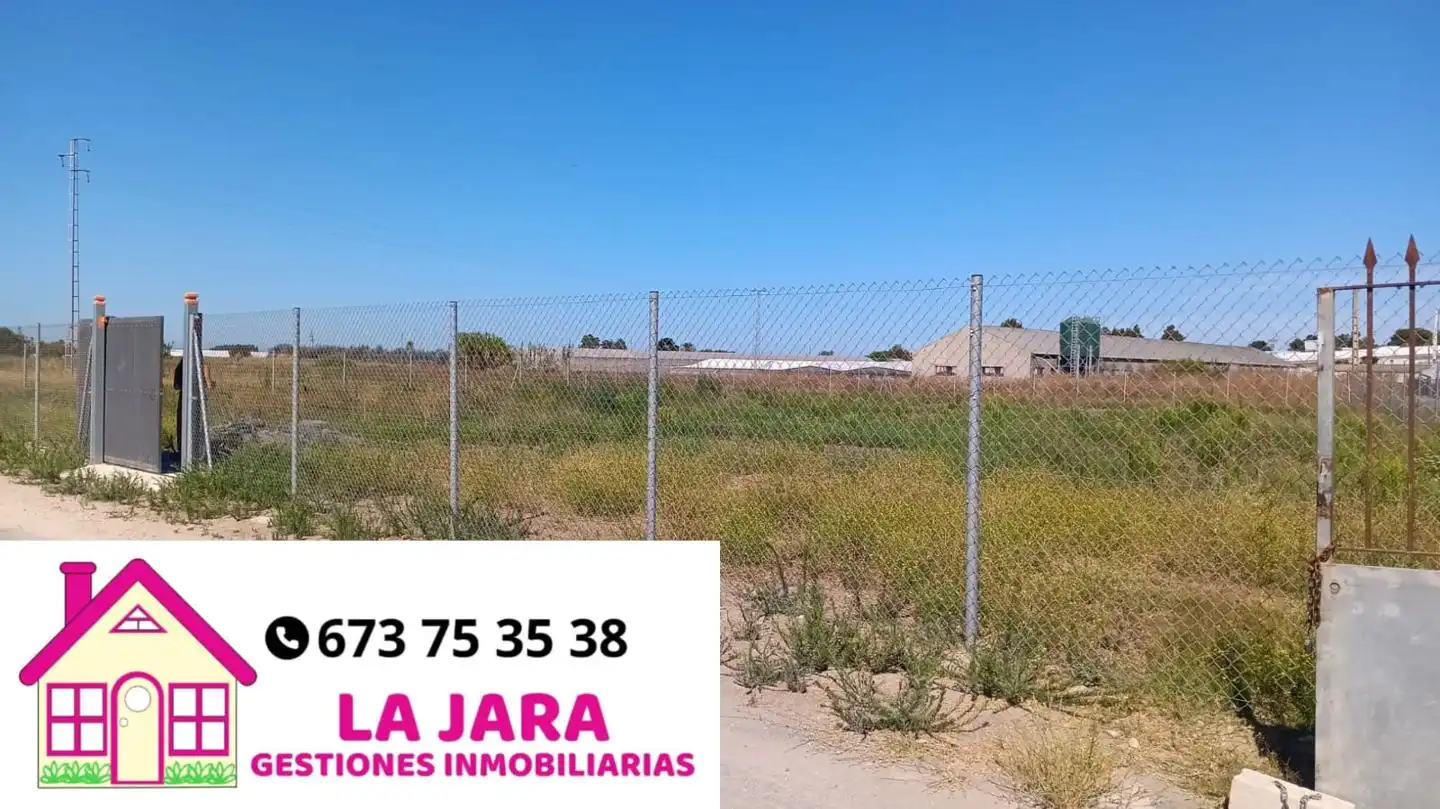 Terreni e lotti in vendita a Los Llanos