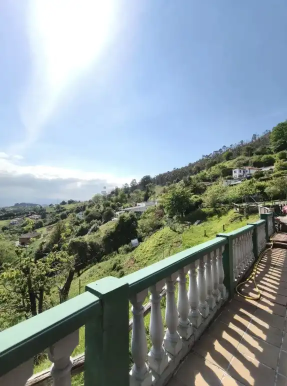 Exterior view of Houses for sale in Oviedo   with Private garden and Furnished