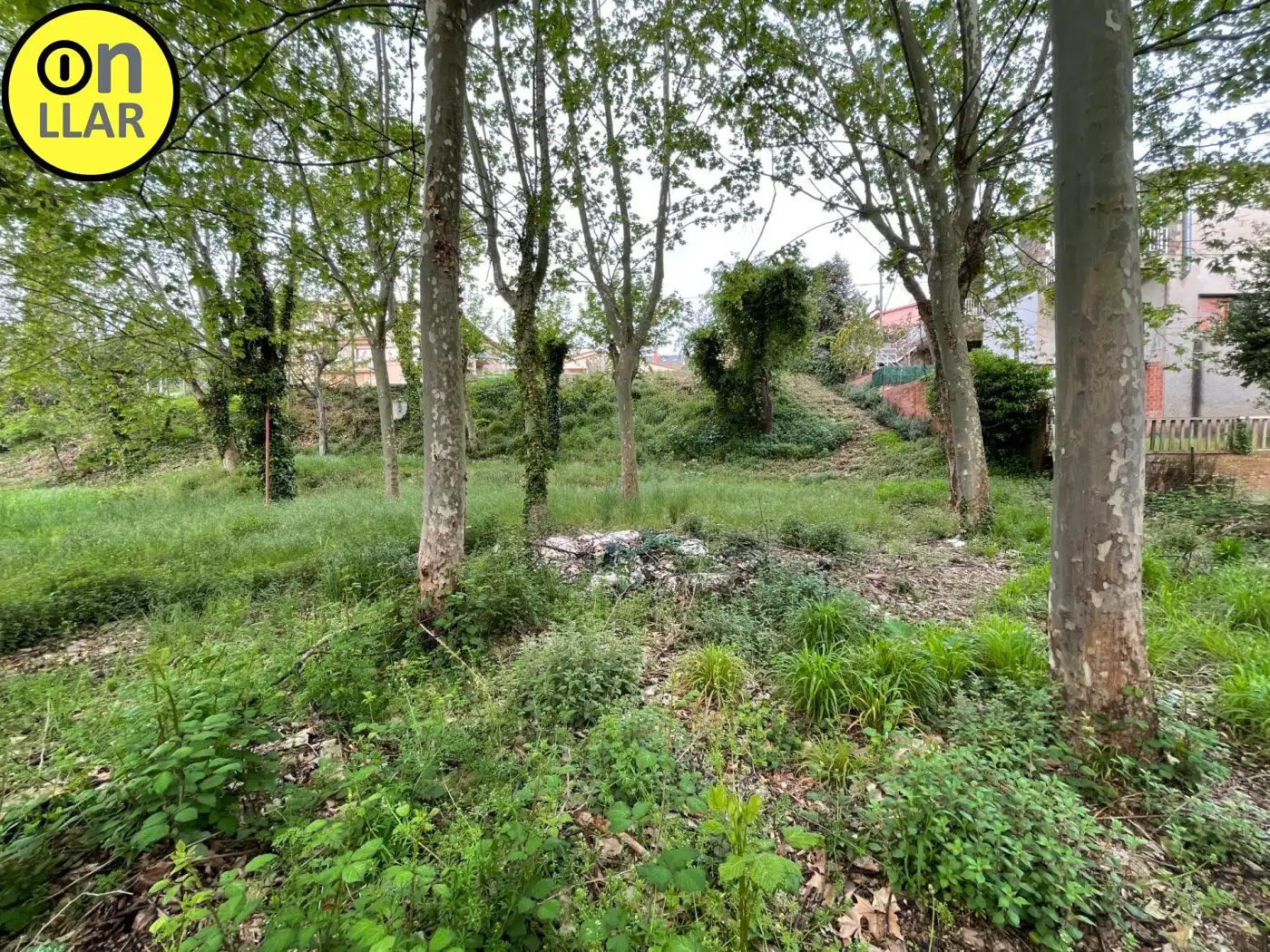 Residential land for sale in Calle Alzina, imagen 19