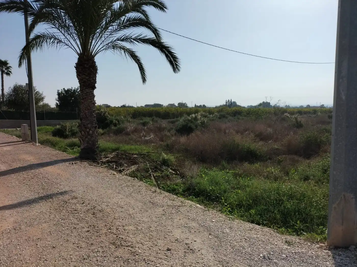 Terreno rustico in vendita a Crevillent, imagen 2