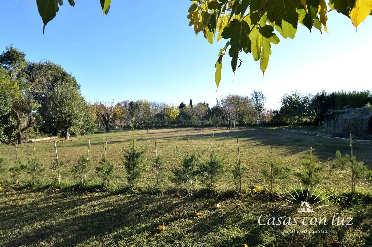 Finca rústica en venda a Urbanización El Guaral, Peñaflor