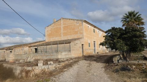 Espectacular finca rústica, Manacor., image 5