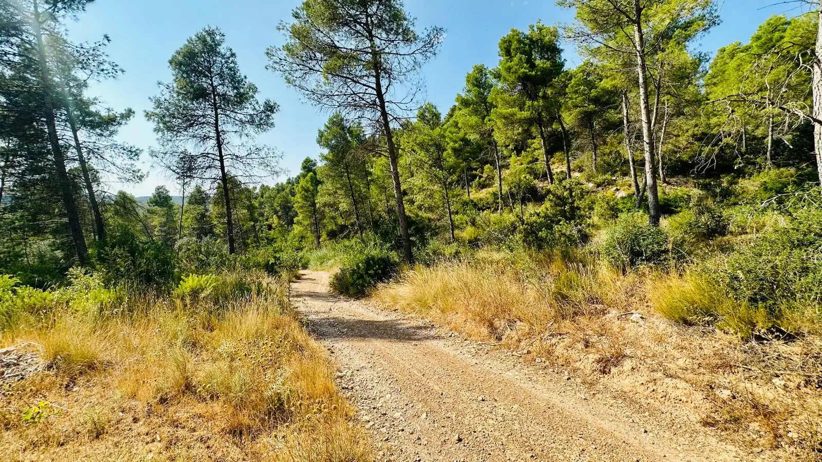 Terreno rustico in vendita a Lledó, imagen 13