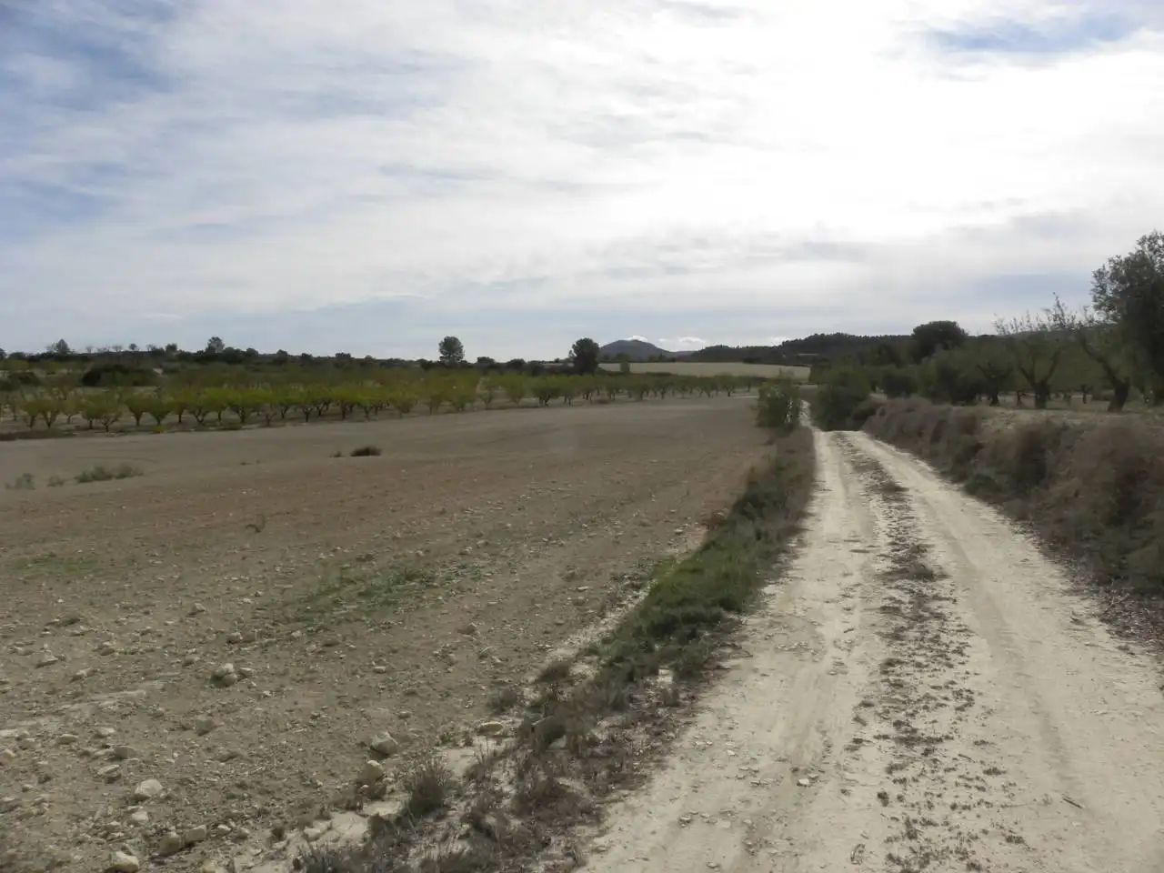 Terreno residencial en venta en Caravaca de la Cruz, imagen 3