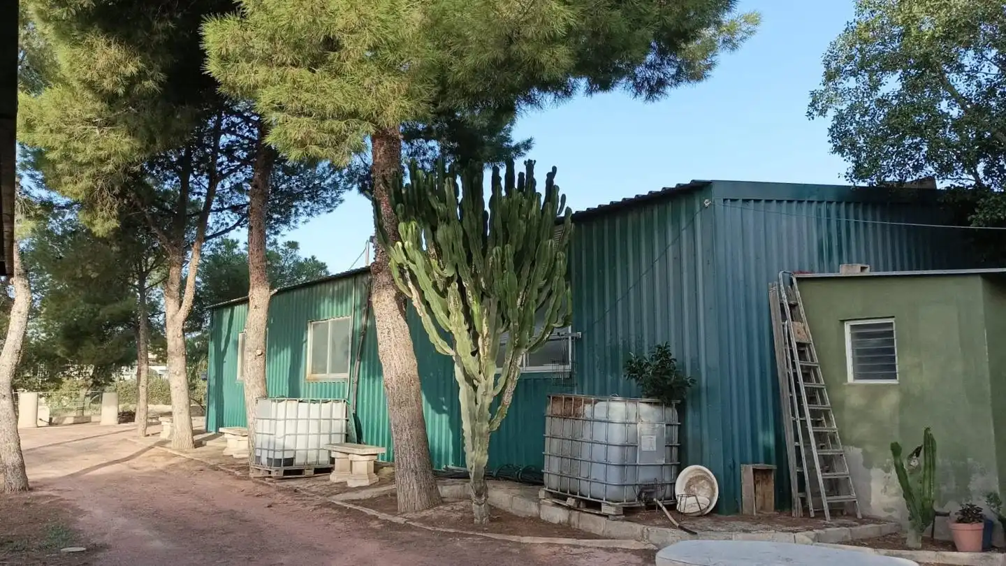 Außenansicht von Wohnung zum Verkauf in Elche / Elx mit Privatgarten, Schwimmbad und Möbliert