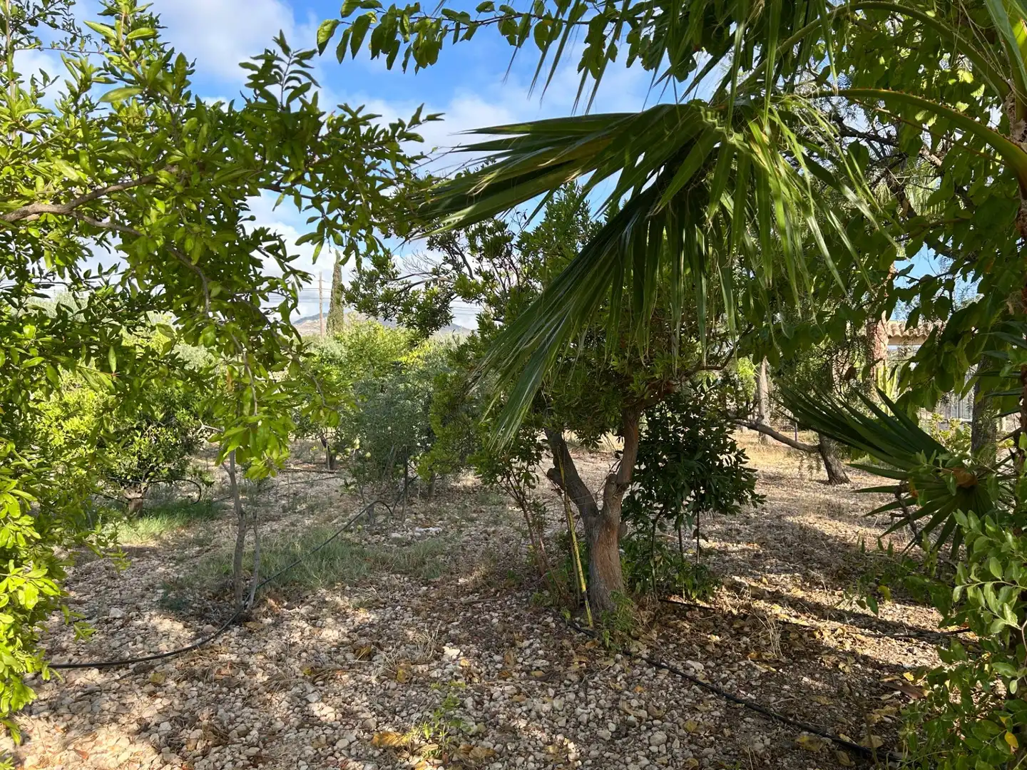 Villa avec piscine à vendre à Partida HORNA BAJA, imagen 12