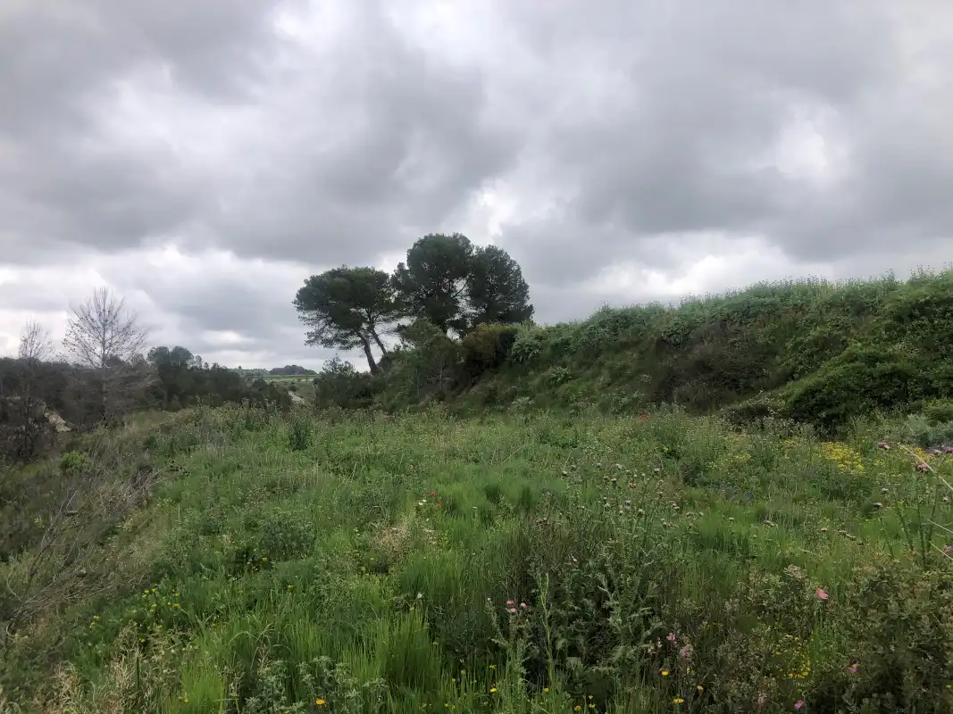Terreno rústico en venta en Castelló de Rugat, imagen 29