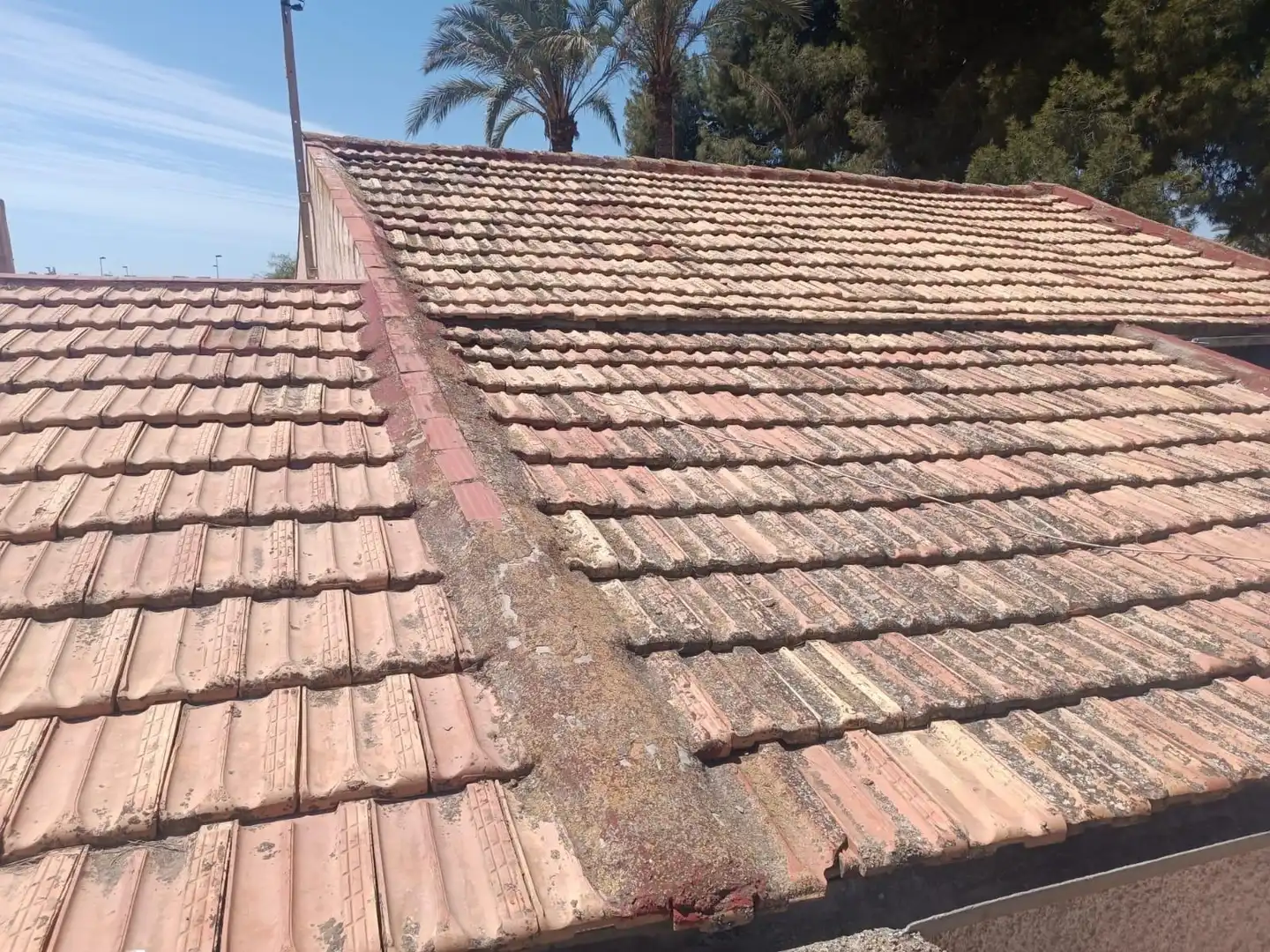 Exterior view of Residential for sale in Elche / Elx