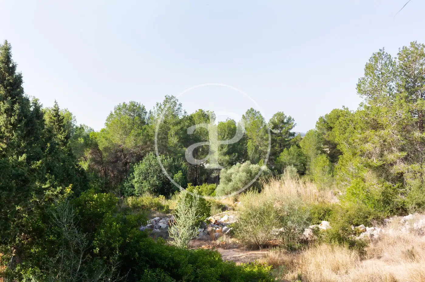 Residential land for sale in Carrer de la Foia de Bunyol, imagen 17