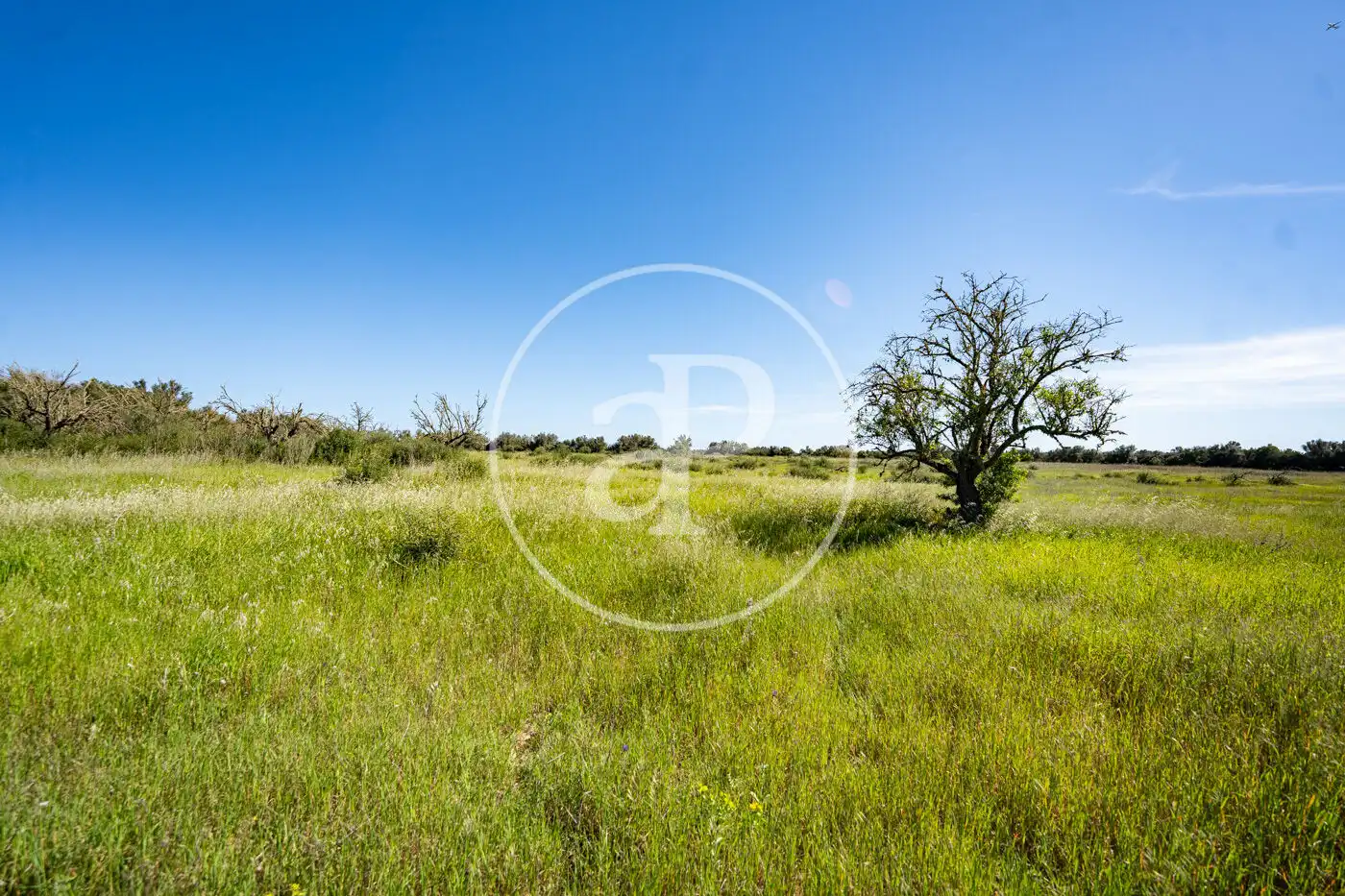 Wohnbaugrundstück zum Verkauf in Polígono 12 Parcela 246, imagen 4