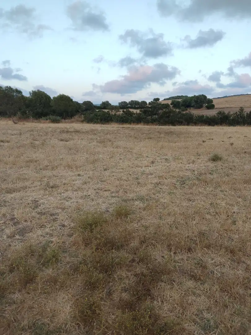 Land for sale in Vejer de la Frontera
