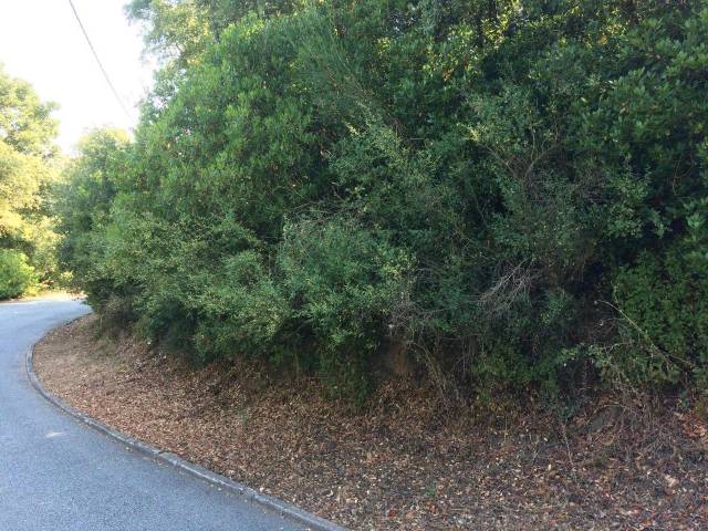 Terreno residencial en Venta en Carrer Llenega Blanca en Vallgorguina