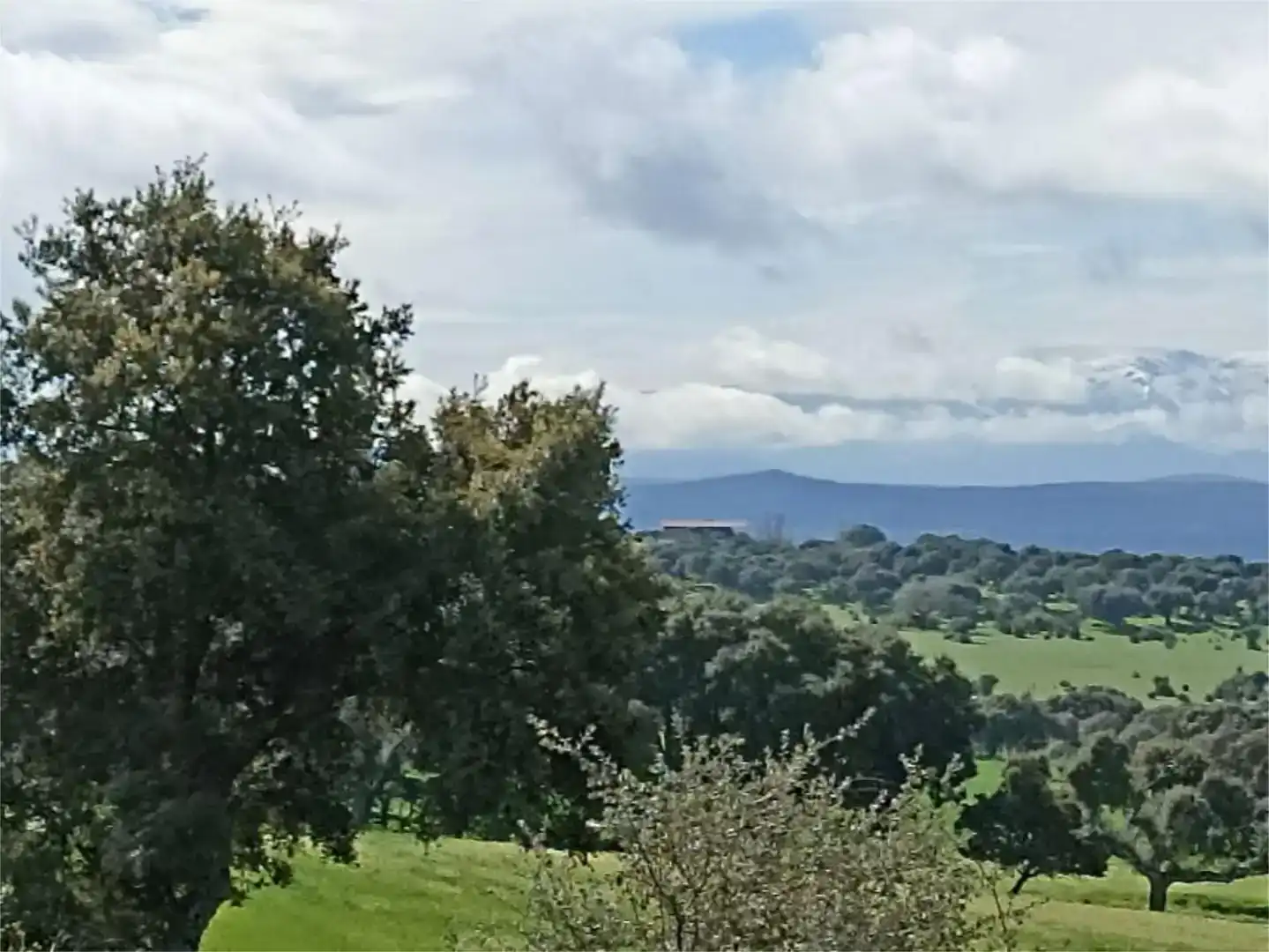 Vista exterior de Planta baja en venta en Membribe de la Sierra con Amueblado