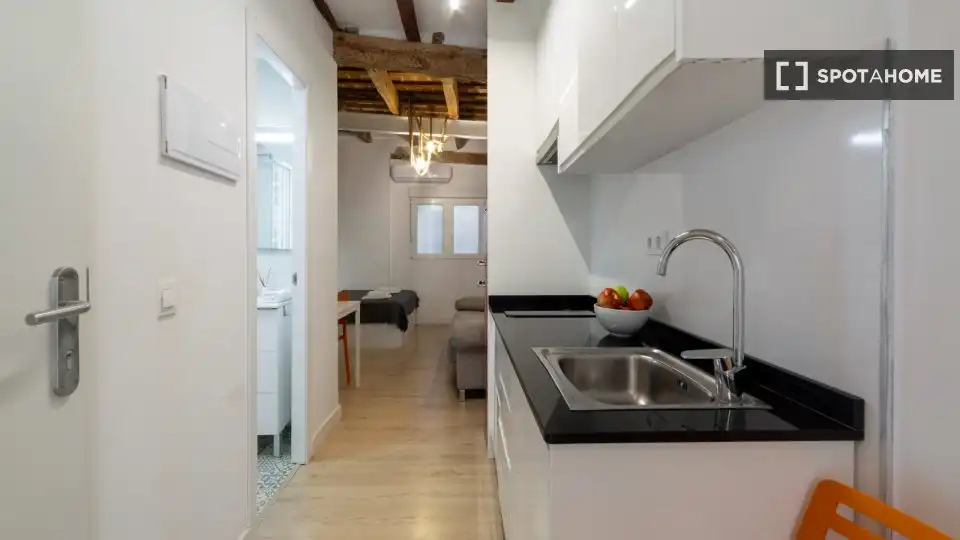 Piso con terraza en alquiler en Ciutat Vella, imagen 16
