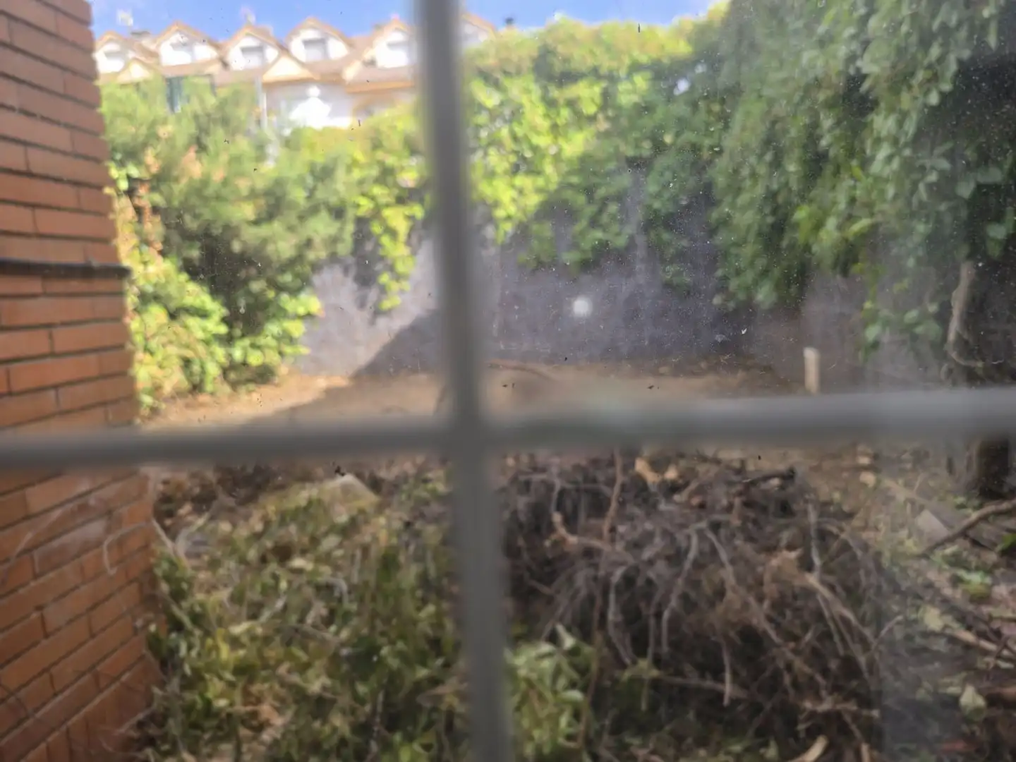 Jardí de Casa o xalet en venda en Campo Real amb Jardí privat, Terrassa i Traster