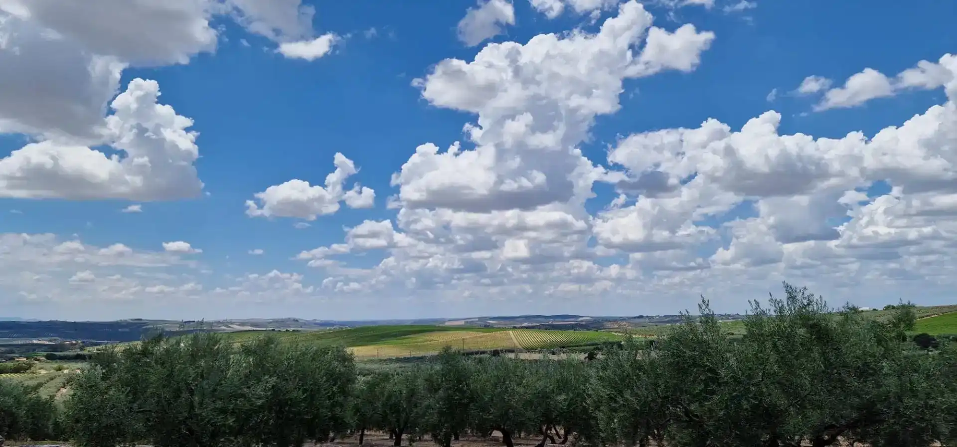 Vista exterior de Piso en venta en Montilla