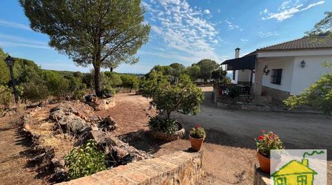 Photo 2 of Land for sale in Poblado del Santuario Virgen de la Cabeza, 42, Andújar, Jaén