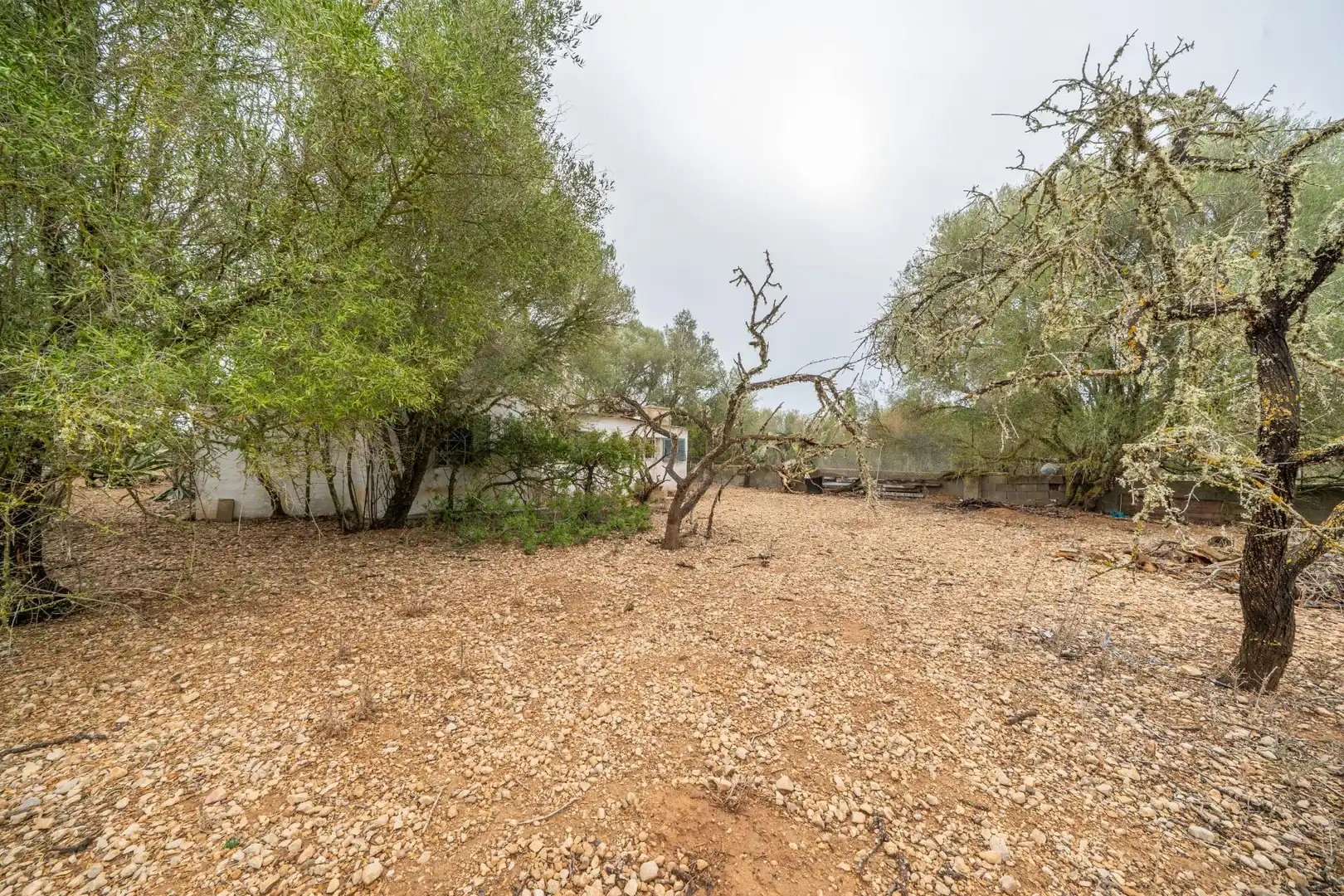 Casa rústica amb jardí en venda a Ctra Palma- Porto Petro, imagen 25