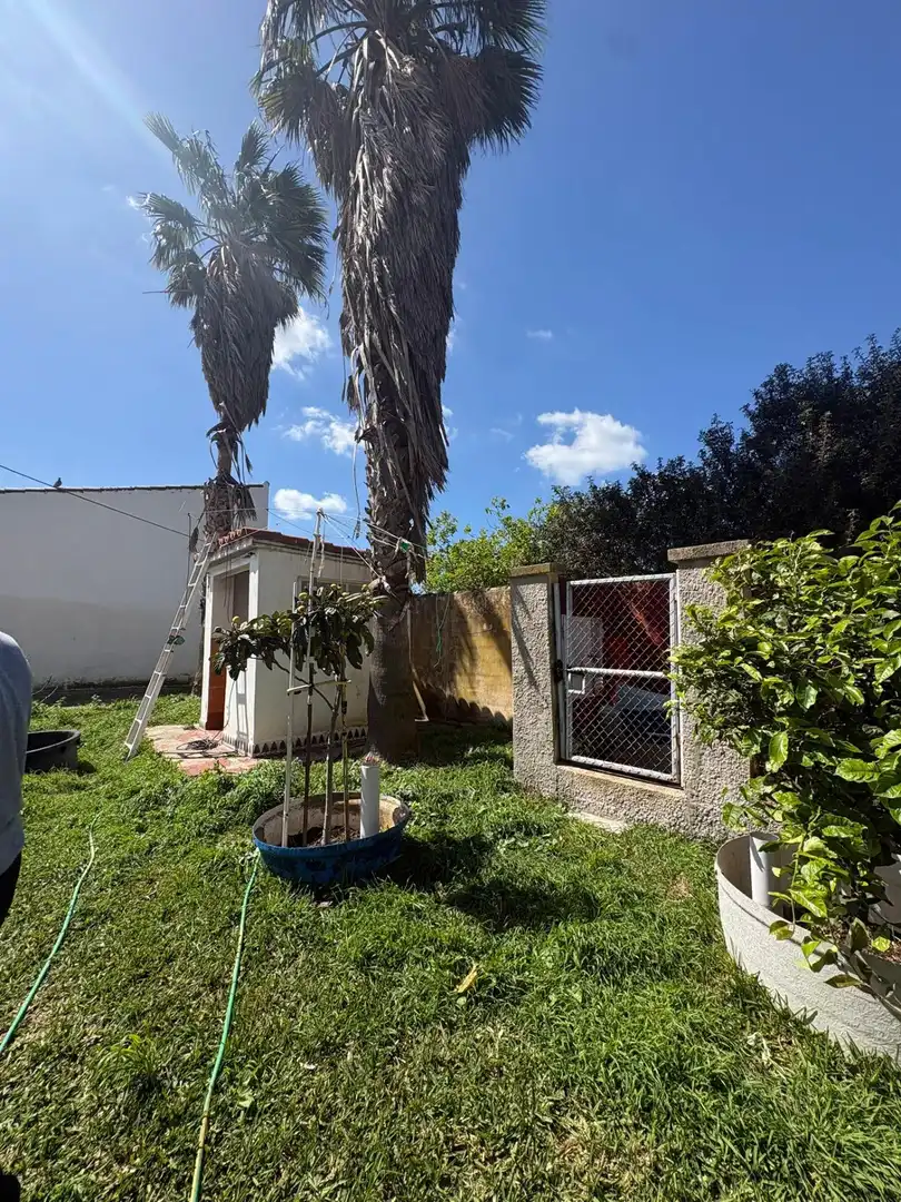 Garden of Houses for sale in Chiclana de la Frontera  with Private garden, Storage room and Swimming Pool