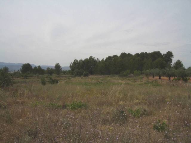 Terreno residencial en Venta en Galim en L'Olleria