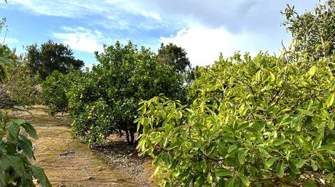 Foto 4 de Finca rústica en venda a El Tanque, Santa Cruz de Tenerife