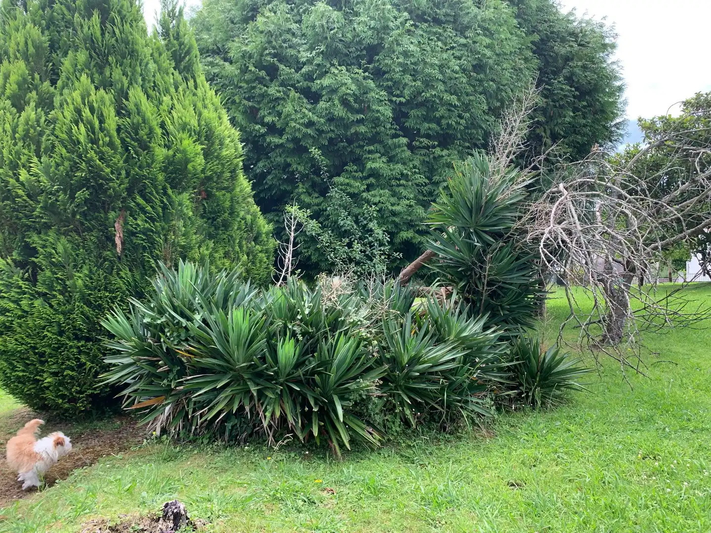 Jardí de Casa o xalet en venda en Ferrol amb Calefacció, Jardí privat i Traster