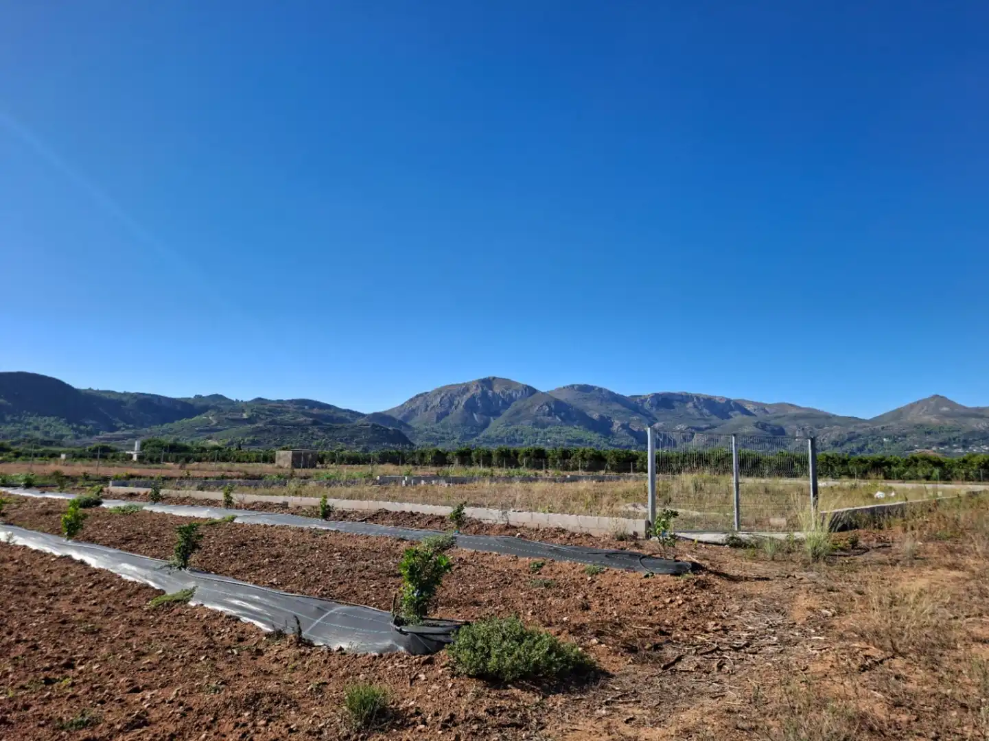 Terreny residencial en venda a Pego, imagen 7