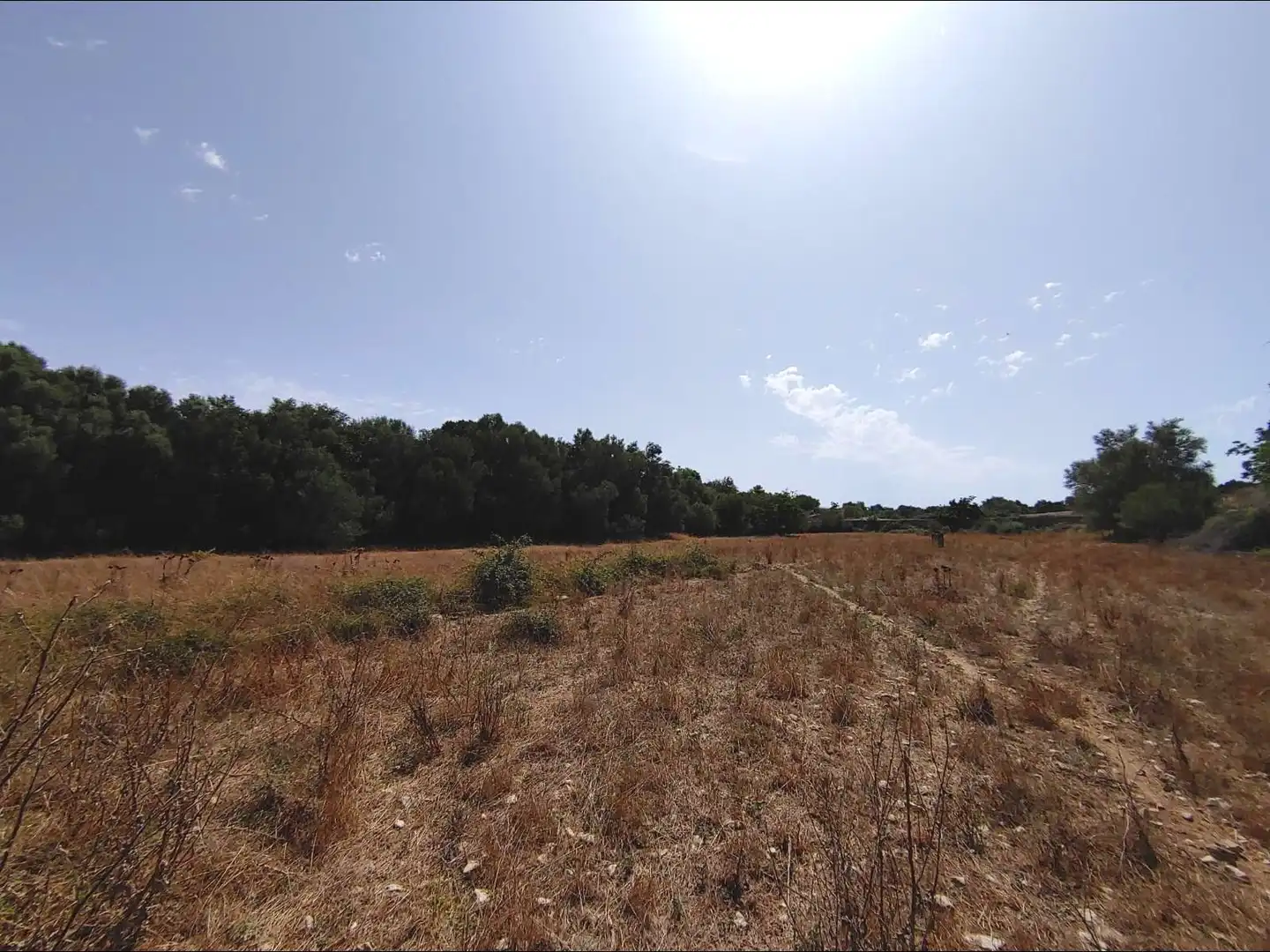 Country house with pool for sale in Algaida, imagen 42