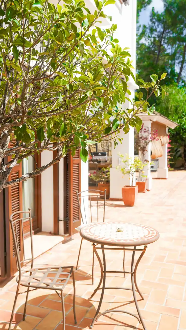 Casa o chalet de alquiler en El Madroñal