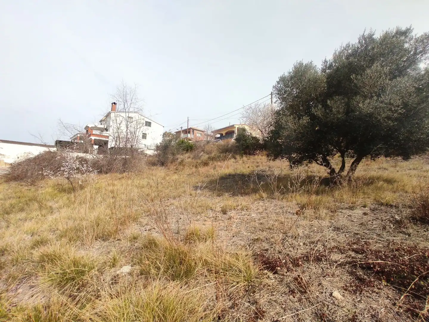 Terrenys i solars en venda a La Bisbal del Penedès, imagen 27