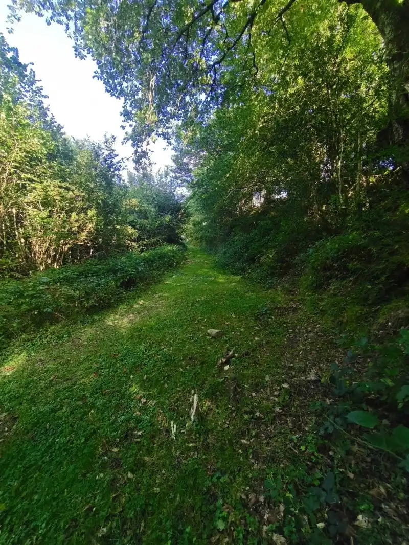 Villa avec jardin à vendre à Rionansa, imagen 10
