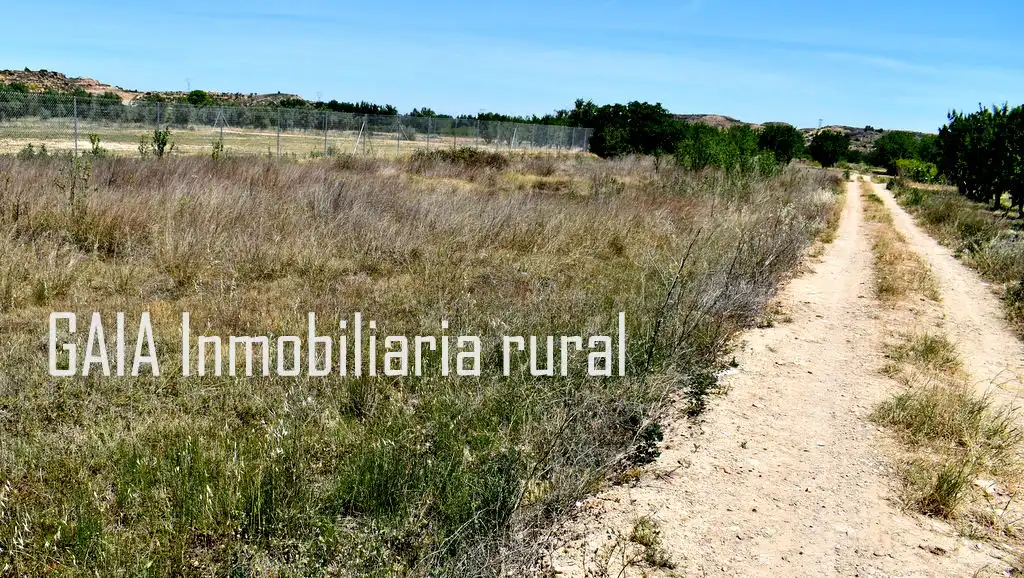 Terreni e lotti in vendita a Maella, imagen 10