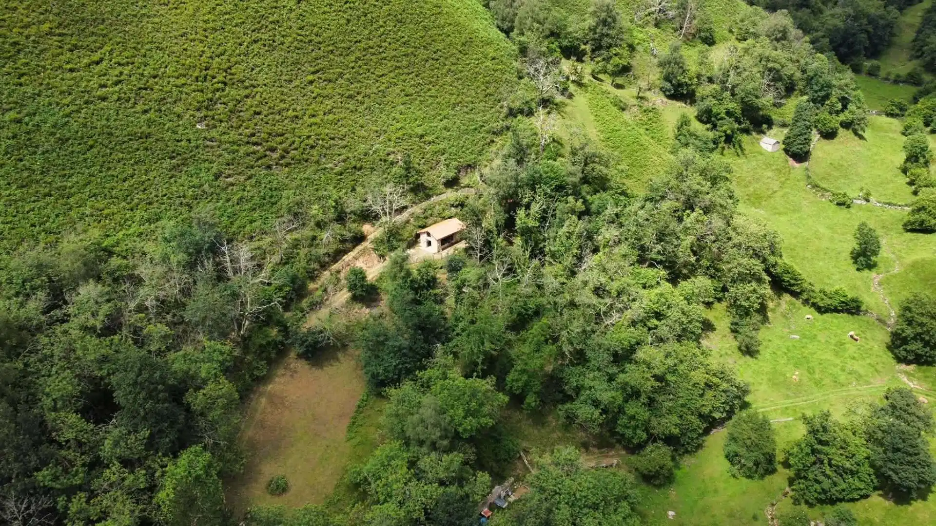 Country homes for sale in Piloña