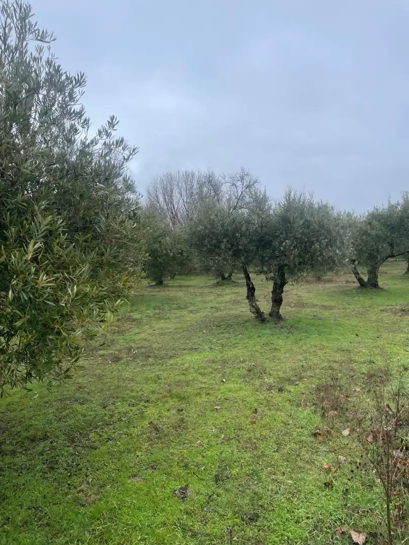 Terreni e lotti in vendita a Sotillo de la Adrada