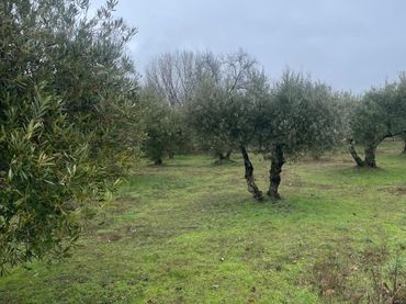 Terreno rústico en venta en Sotillo de la Adrada