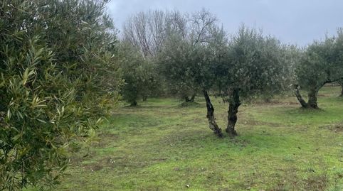 Finca en venta en Sotillo de la Adrada