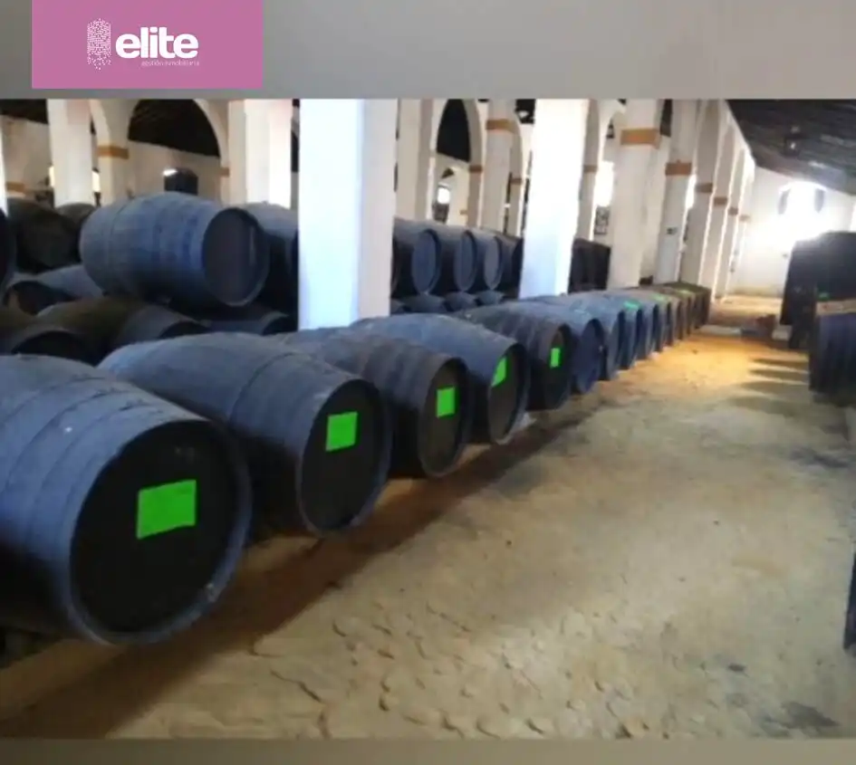 Résidentiel à vendre à Avenida - Divina Pastora - Plaza de Toros, imagen 5