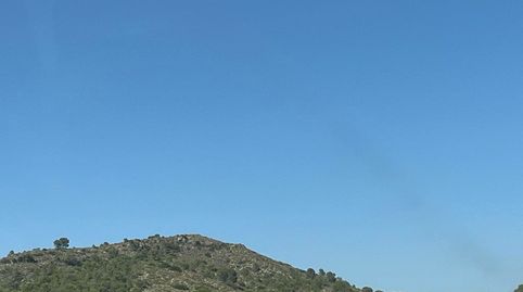 Photo 2 of Land for sale in Hellín, Albacete