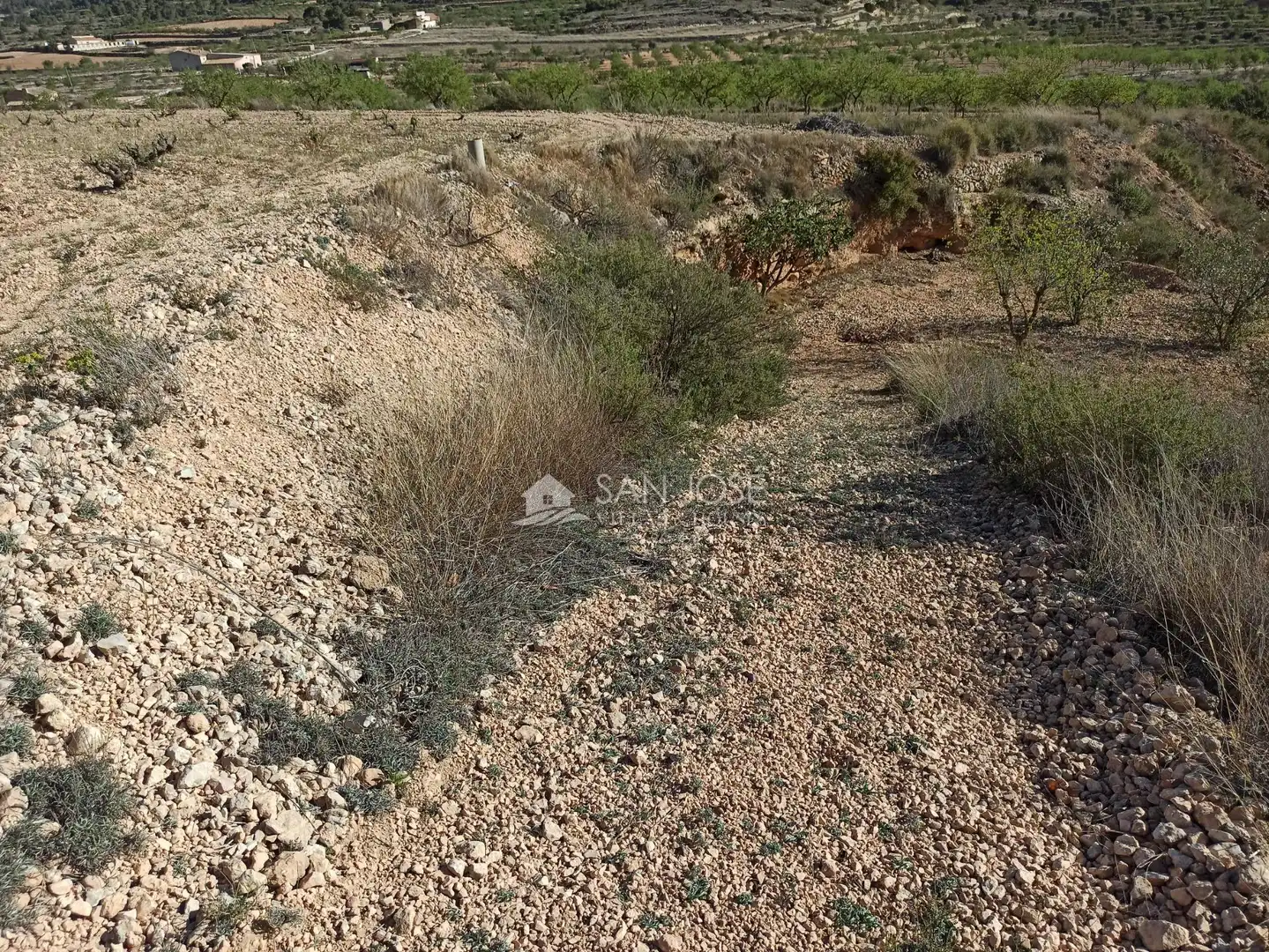 Terrain rustique à vendre à Algueña, imagen 11