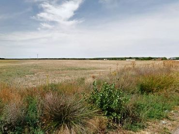 Terreno rustico in vendita a CL PLAN PARCIAL SUD N3